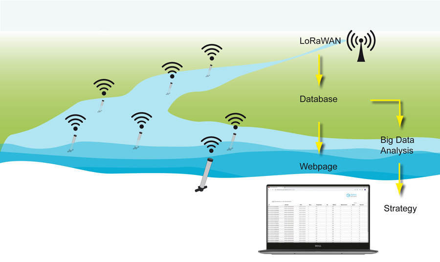 Omikron Solutions schema